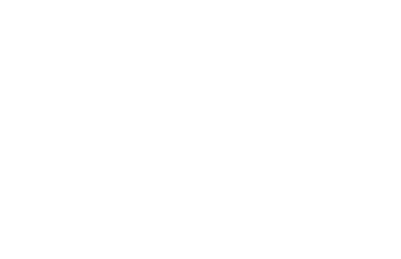 NexArq